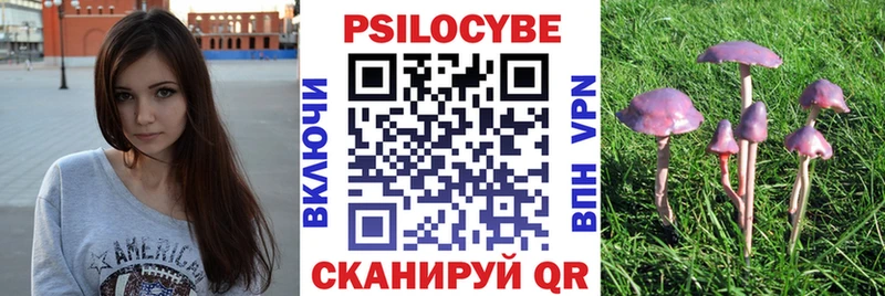 Галлюциногенные грибы Psilocybine cubensis блэк спрут ТОР Кузнецк